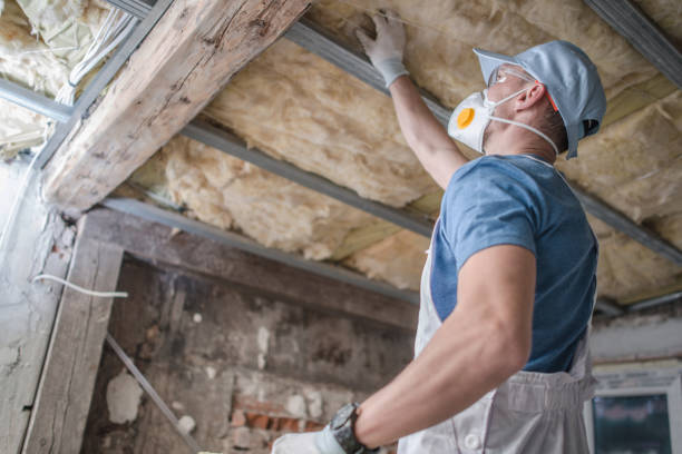 Best Residential Insulation in Olivarez, TX