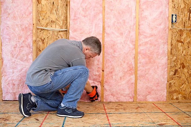 Best Commercial Insulation in Olivarez, TX